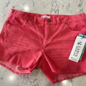 Carve Designs 4” Oahu Short